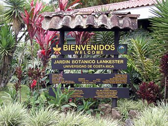 IRAZU VOLCANO, OROSI VALLEY