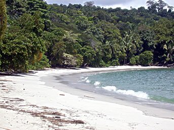 MANUEL ANTONIO NATIONAL PARK MANUEL ANTONIO NATIONAL PARK