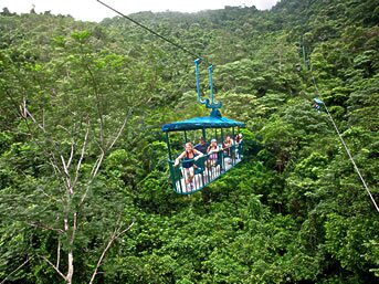 RAINFOREST AERIAL TRAM RAINFOREST AERIAL TRAM
