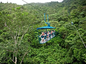 RAINFOREST AERIAL TRAM