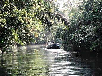 THE REAL TORTUGUERO THE REAL TORTUGUERO