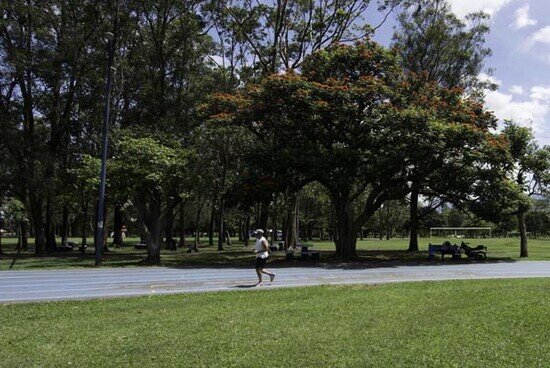 photo of the Sabana Park